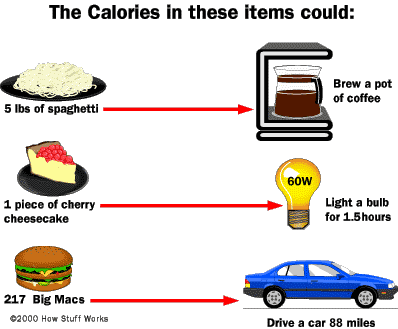 calorie.gif