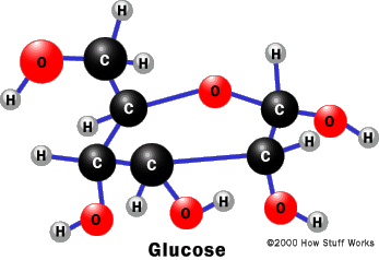 food-glucose.gif
