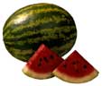 watermelon!!!